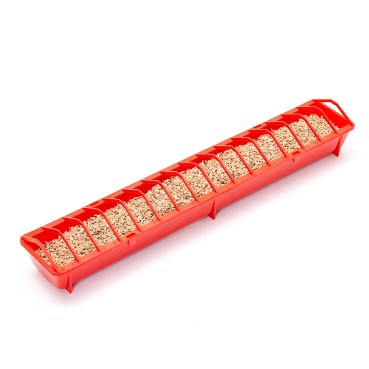 Hrănitoare din plastic pentru pui 50 cm, capacitate 1,5 l.