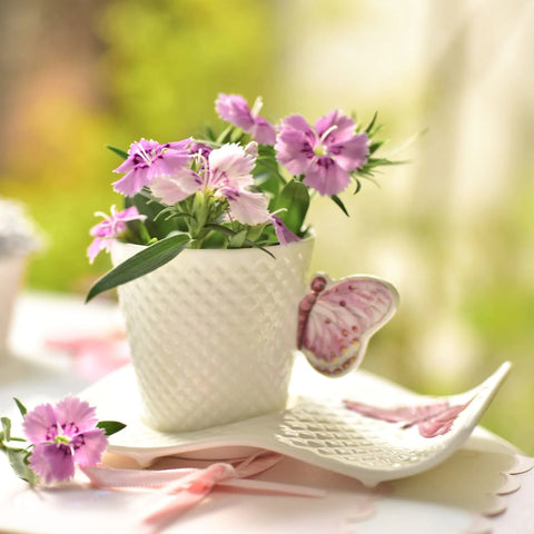 Set 6 cesti Cafea sau Ceai cu farfurioare, fluture roz